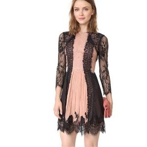 Elegant Alice and Olivia black and blush lace party dress